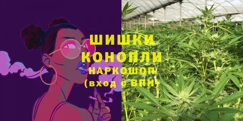 Бошки марихуана THC 21%  Знаменск 